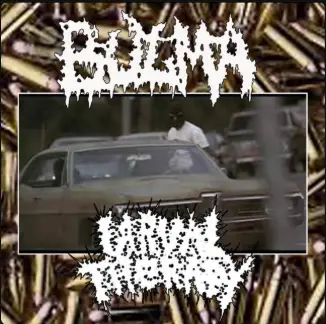 Larval Therapy : Larval Therapy X Bulma